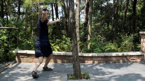 今日隨筆 寫給有緣的你 我在講說拳術的點點滴滴