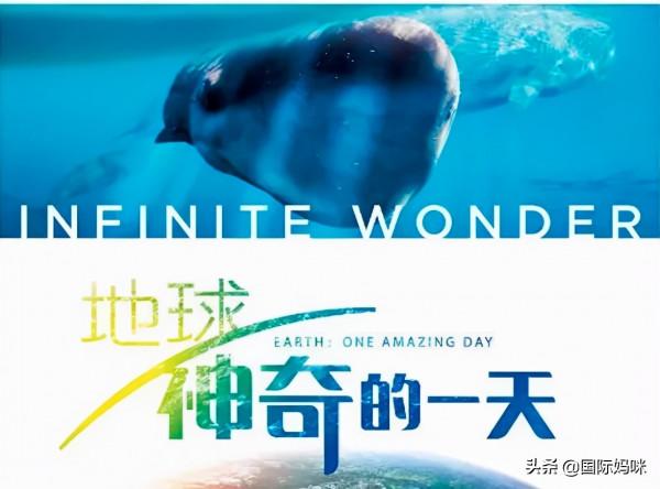 關掉垃圾動畫片，和孩子一起看看這些紀錄片