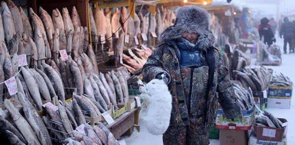 零下71℃！被譽為地球“極寒之地”，奧伊米亞康人是如何生活的？