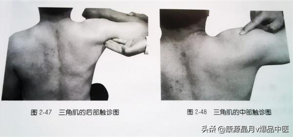 肩部疼痛的觸診圖解（很珍貴資料），值得一看
