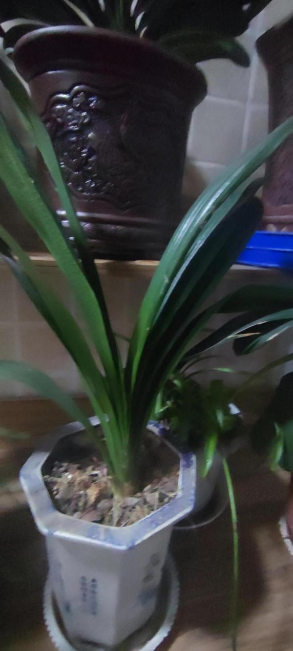 今天成功的做了一次斷舍理