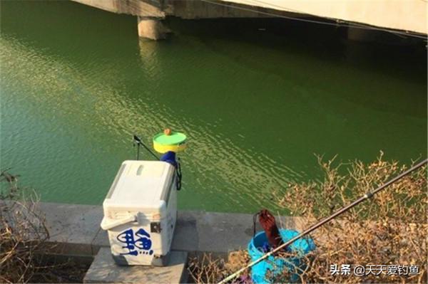 冬季釣魚,天氣符合這3個特徵,釣點滿足3個條件,輕鬆釣爆護 冬季釣魚,天氣符合這3個特徵,釣點滿足3個條件,輕鬆釣爆護