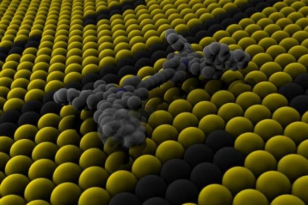 醫療領域新革命—奈米醫療，將攻克癌症細胞，醫學界史詩級成就