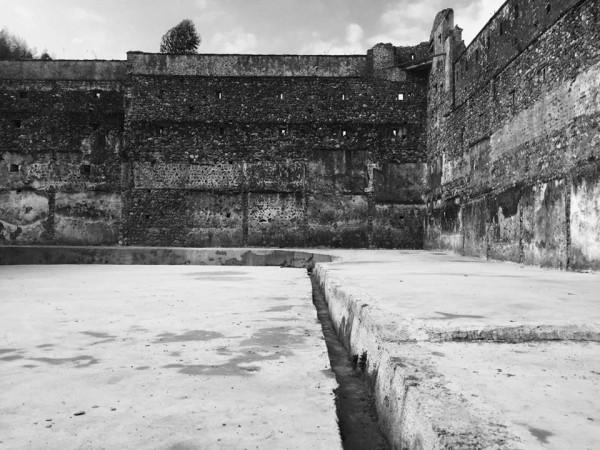 竹筒飯,叫花雞,烤番薯……廣東大山深處的美味 竹筒飯,叫花雞,烤番薯……廣東大山深處的美味