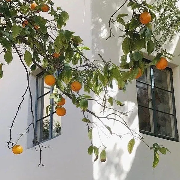 跌倒了,先別急著爬起來 跌倒了,先別急著爬起來