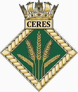 英國海軍各類標識：海軍預備隊