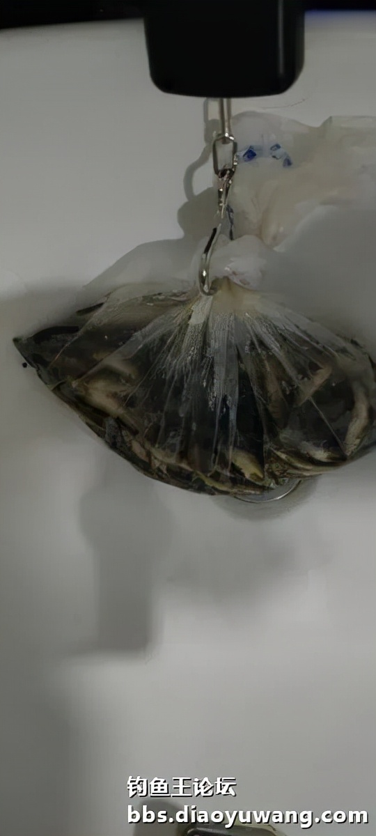 迴歸河山，收穫翻番