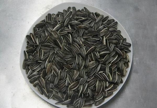 剩下的3種“零食”，別亂丟，重新處理一下埋盆底，養啥啥都旺