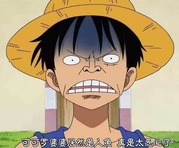 海賊王:時間真是把殺豬刀!這七位大媽年輕時誰也不比娜美差? 海賊王:時間真是把殺豬刀!這七位大媽年輕時誰也不比娜美差?