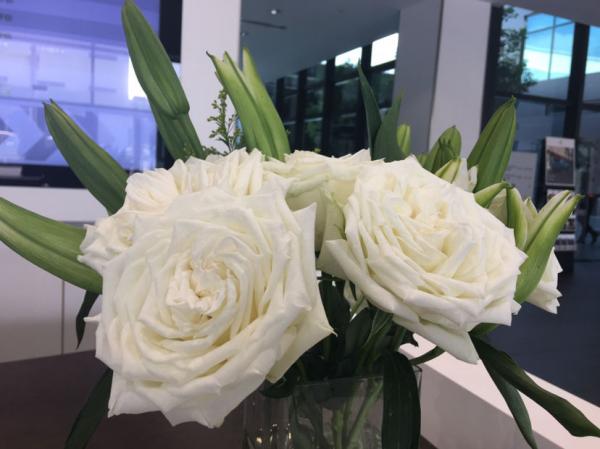 節日收到的花束，拿回家卻束手無策？手把手教你鮮花養護