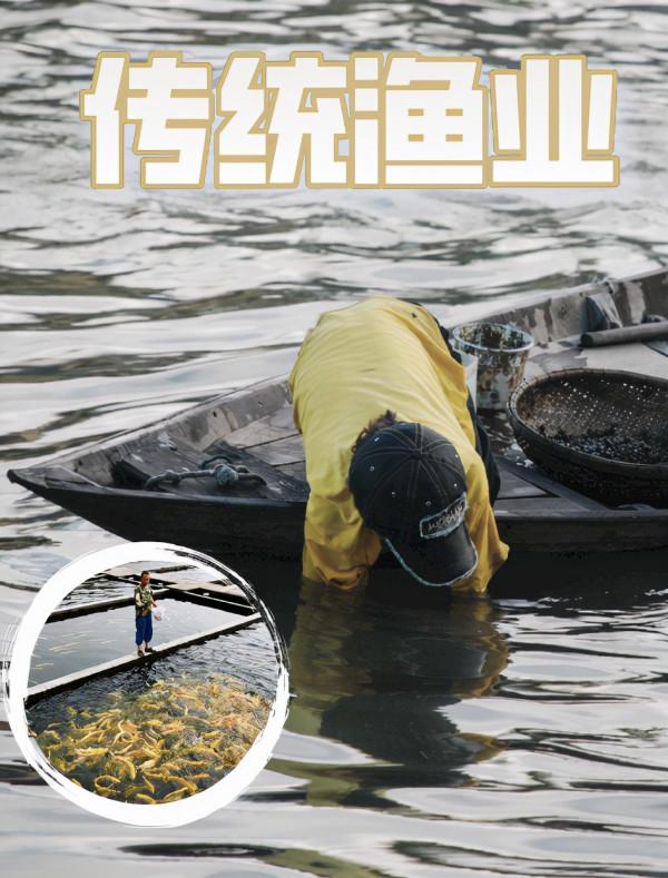 農田1500畝,利潤200萬,智慧農業到底是什麼 農田1500畝,利潤200萬,智慧農業到底是什麼