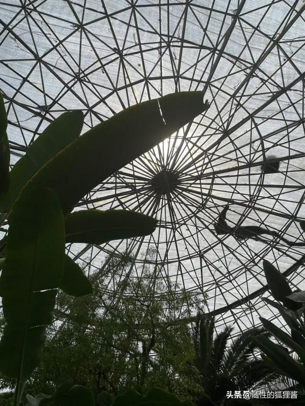 京城遛娃好去處，價格、硬體、軟體彙總，冬季遛娃好輕鬆