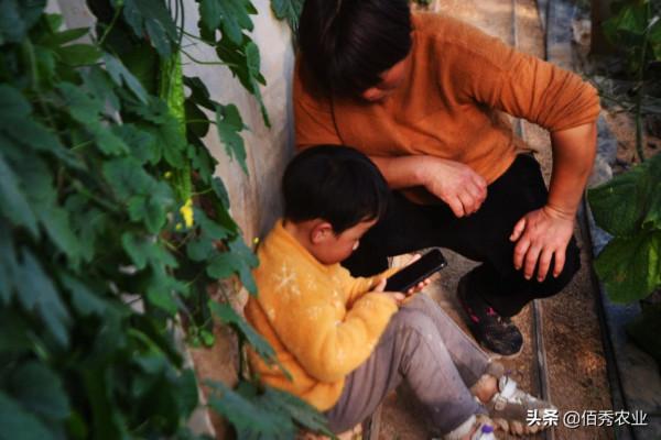 農民為節約種植成本，開始在網上購買農藥，為啥有人說不靠譜