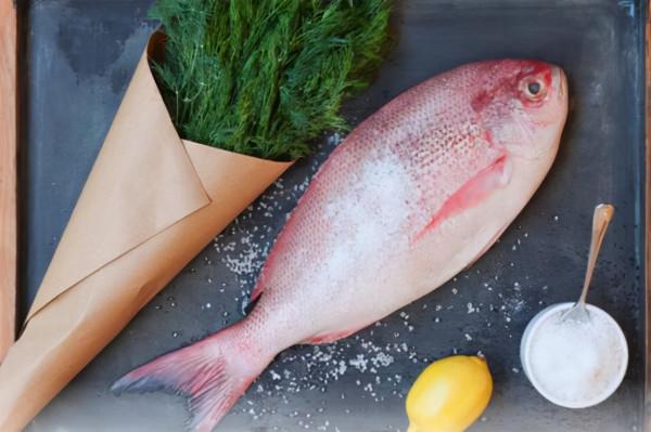 河豚也有轉基因？日本又推出基因編輯食品，專家稱很安全，靠譜嗎