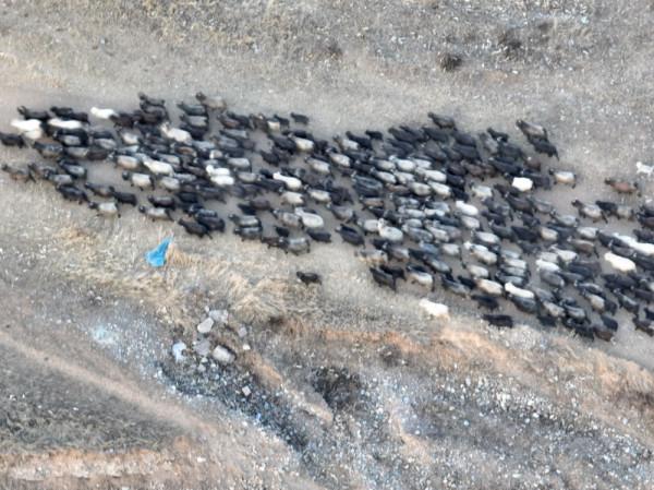 山西漂亮寺廟的真太多了，隨便一個就是孤品和精品