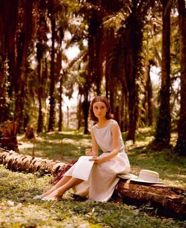 一個人的自洽：積極的平靜