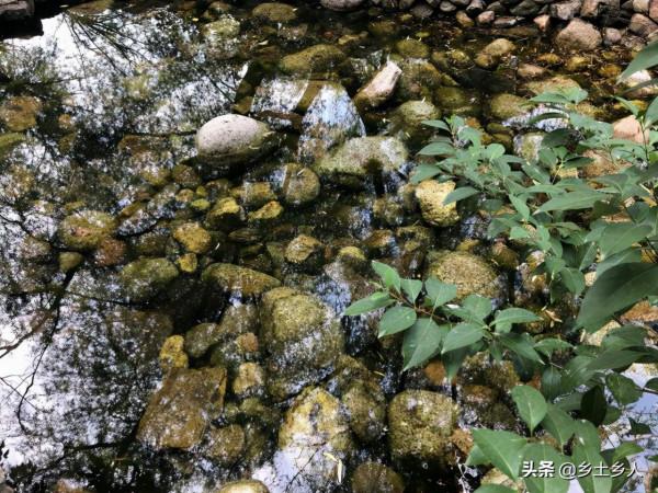 十月初十釀酒節,俗語“十月天赦酒,賽過午時水”,啥是天赦酒? 十月初十釀酒節,俗語“十月天赦酒,賽過午時水”,啥是天赦酒?