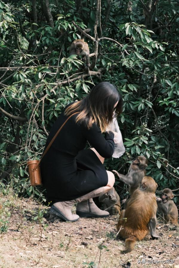 深度大理:立刻停止思考,才能解決生活在大理的焦慮與煩惱 深度大理:立刻停止思考,才能解決生活在大理的焦慮與煩惱
