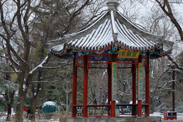 北京一冷清公園,面積小門票便宜,與天壇同名為重要祭祀場所 北京一冷清公園,面積小門票便宜,與天壇同名為重要祭祀場所