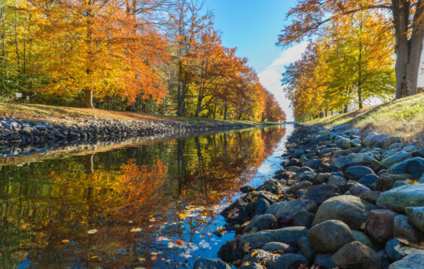 擅長於未雨綢繆,志在必得的星座,不怕孤獨,追求優秀,百毒不侵 擅長於未雨綢繆,志在必得的星座,不怕孤獨,追求優秀,百毒不侵