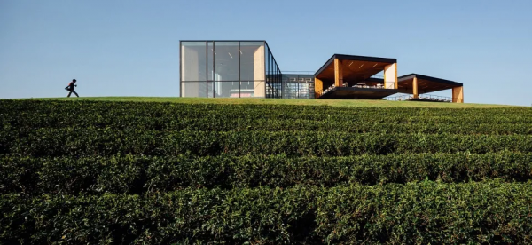 大山裡的茶吧咖啡館 大山裡的茶吧咖啡館