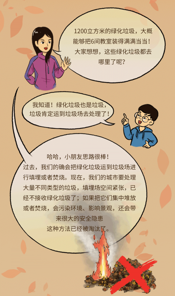 公園裡的枯枝落葉 都去哪兒了? 公園裡的枯枝落葉 都去哪兒了?