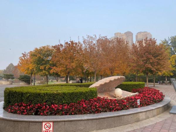 北京紅領巾公園秋色景美 北京紅領巾公園秋色景美