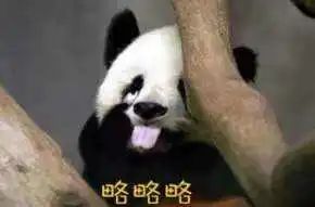 當代年輕人大徹大悟圖鑑,看看你活明白了幾回? 當代年輕人大徹大悟圖鑑,看看你活明白了幾回?