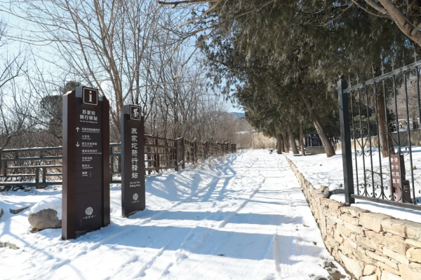 快來看，蘇家坨鎮的雪景美出了圈！