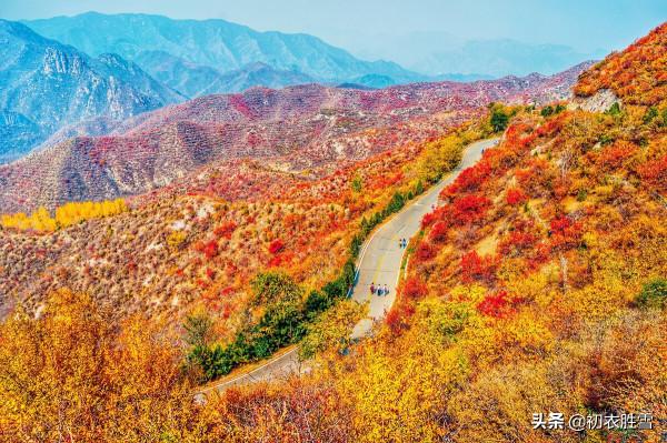 晚秋明麗秋山七首:誰道秋山不宜客,柿葉楓林別樣春 晚秋明麗秋山七首:誰道秋山不宜客,柿葉楓林別樣春