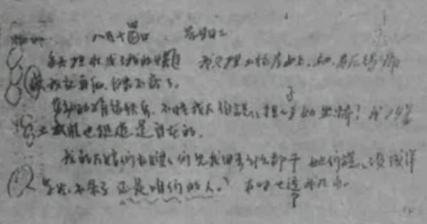 毛主席批閱李敏同學日記，寫下7句批語，為何發表後只刊登3句？