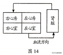 2021年吉林省中考生物真題