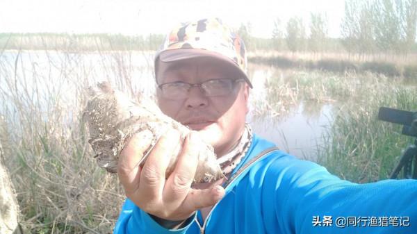 十年前我用伊豆，十年後我用袖鉤、海夕和伊勢尼，和伊豆漸行漸遠