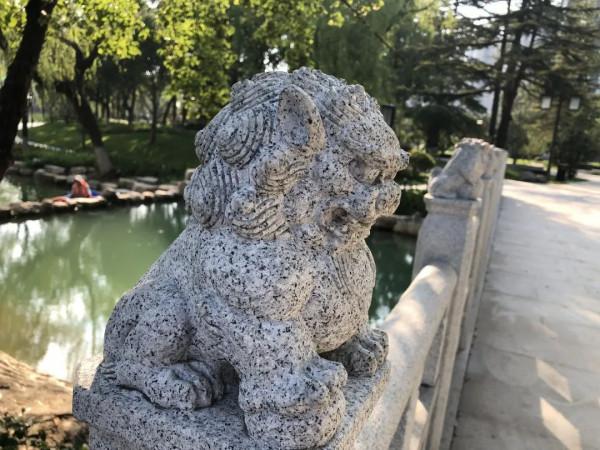 唐皇宮裡的“大喵”，大有來頭