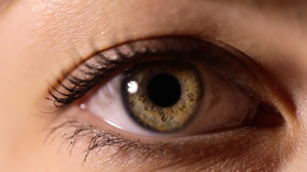 人類的眼睛，究竟如何進化而來的？為何達爾文感到困惑不解？