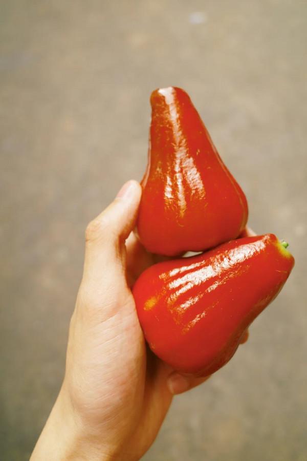 在這裡我毫不焦慮，還實現了水果自由