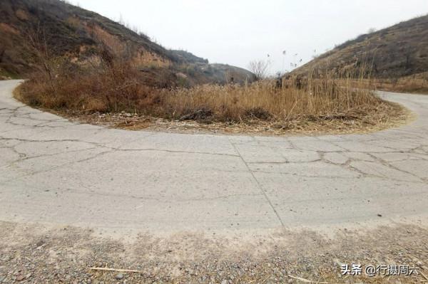 7旬農民大叔在山溝種蘆葦，荒草成搶手貨，1畝地能賺2萬元