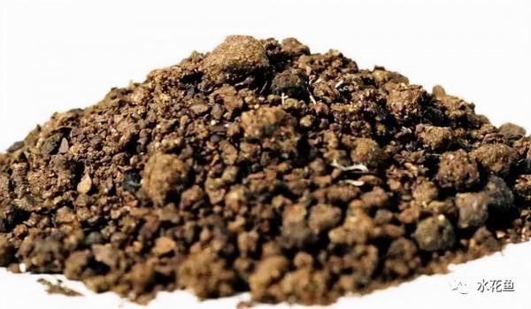 清塘消毒：幾種常見的清塘方式和常用清塘藥劑的功效及用法