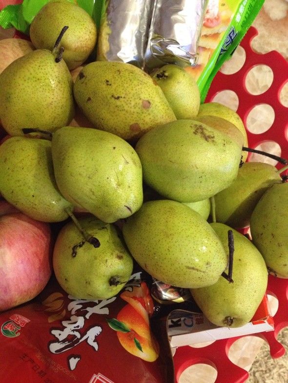 你想要來的新疆2022年是這樣的