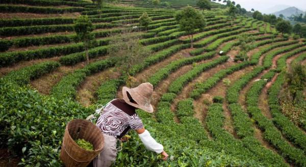 2022 年的 25 條精彩旅程(二)