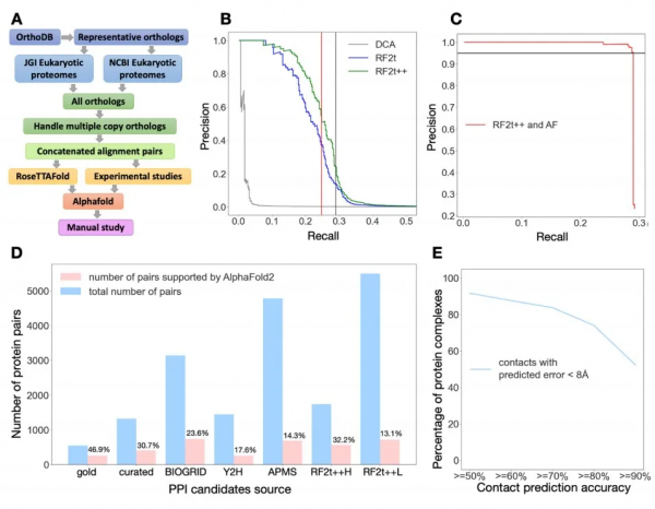 北大校友共同擔綱將全球兩大蛋白質預測系統“雙劍合璧”
