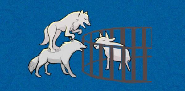 “狼狽為奸”中的狽,究竟是什麼生物?看完你就知道了 “狼狽為奸”中的狽,究竟是什麼生物?看完你就知道了