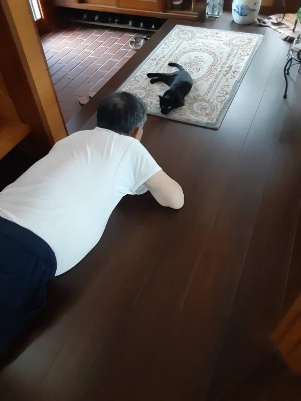 日本老爺爺救回一隻被烏鴉攻擊的小黑貓，擼貓半年人都變年輕了