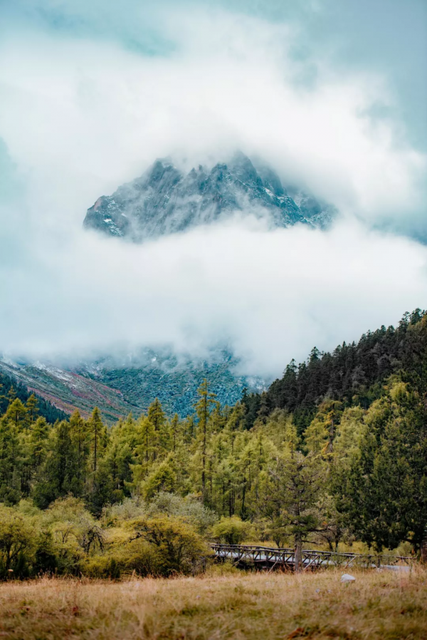 為什麼全國都愛四川的秋天! 為什麼全國都愛四川的秋天!