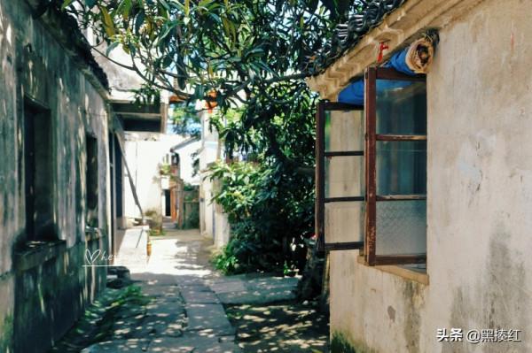 浙江自駕遊，路過湖州市，在德清認識了一個“道家”古鎮：仙潭