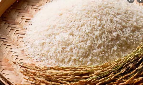 本財年剛開始,緬甸大米出口資料喜人 本財年剛開始,緬甸大米出口資料喜人