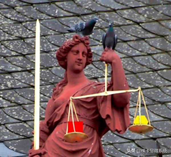 徠卡共聚焦課堂第一講:針孔幾何形狀:完美的四邊形 徠卡共聚焦課堂第一講:針孔幾何形狀:完美的四邊形