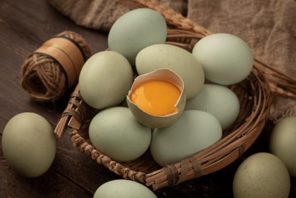 人到中老年，別捨不得花錢，建議5種食物要常吃，易消化營養全