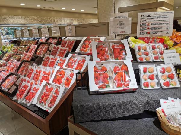 日本最嚴種苗法實行8個月,我國哪幾類水果有可能違反日本禁令? 日本最嚴種苗法實行8個月,我國哪幾類水果有可能違反日本禁令?