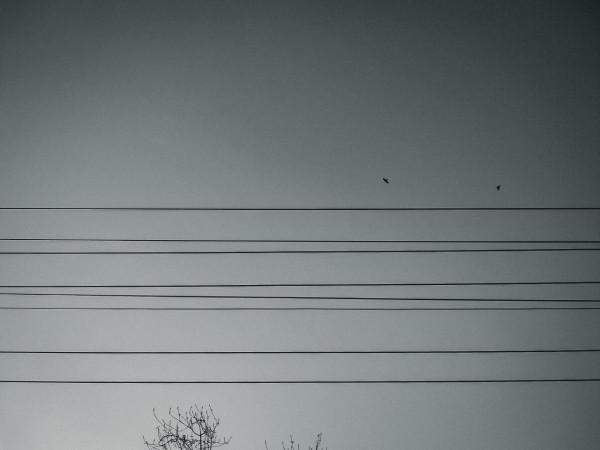 華為P50對比摩托羅拉edge s pro，攝影精選